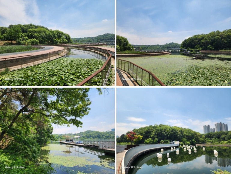 경기도 광교호수공원 둘레길