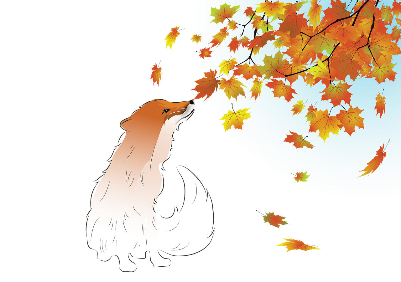 2025년 가을 단풍축제 일정 총정리관련사진