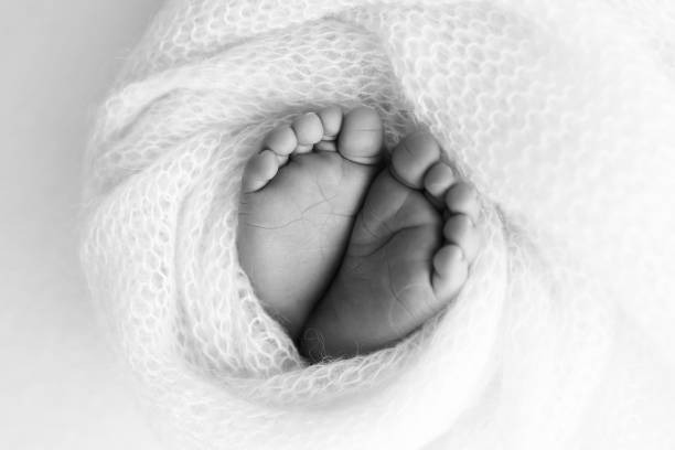 아기 낳는 꿈 해몽