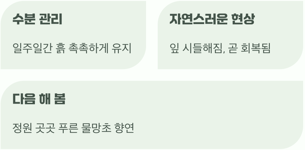 이사 후 특별 관리법