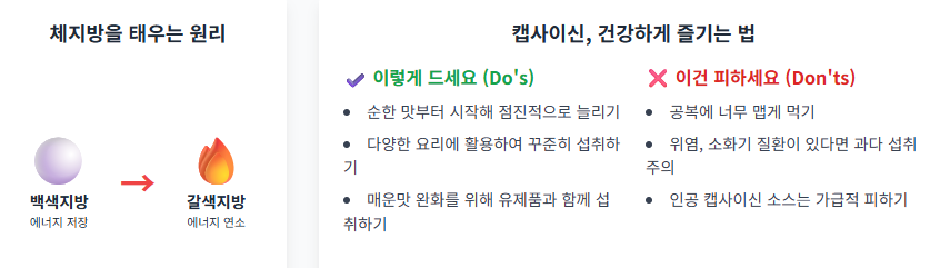 캡사이신의 숨겨진 건강 비밀, 혈관 건강, 염증 감소, 통증 완화!