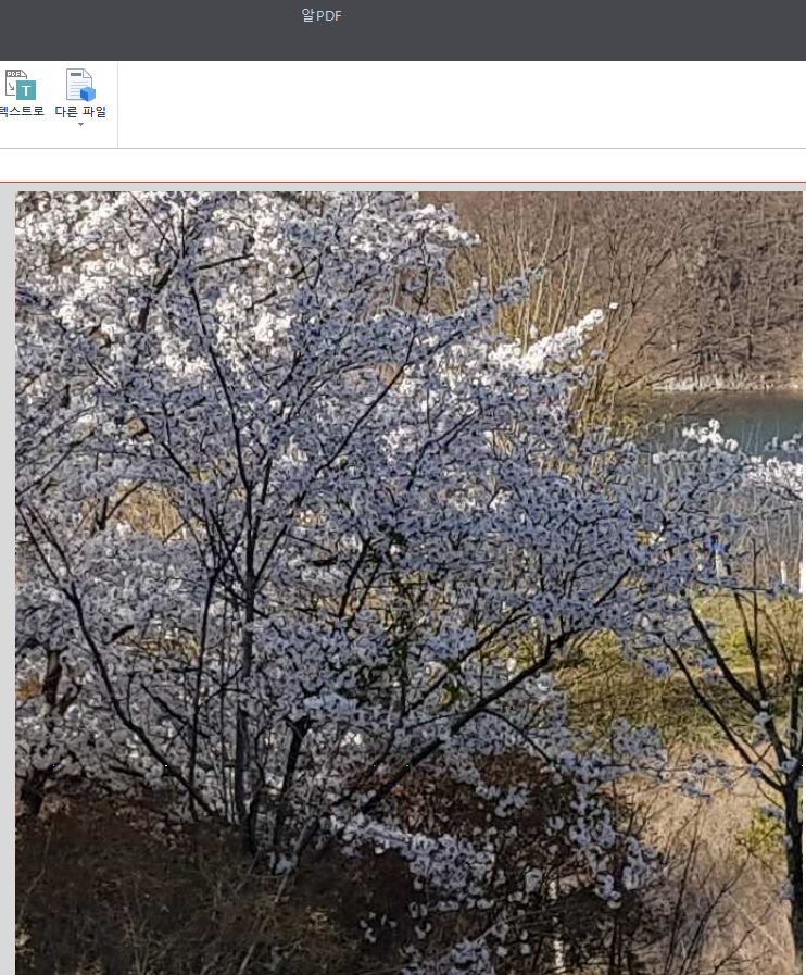 바닥글에 그림을 추가하고 인쇄하면 그림만 보이고 표는 안보임