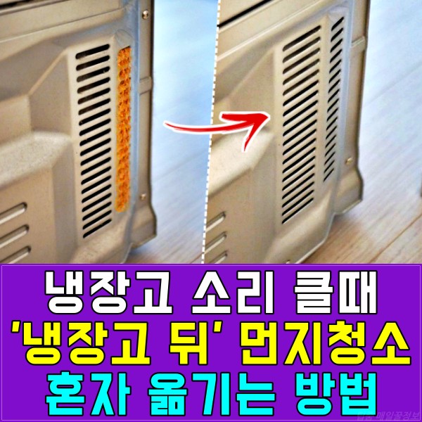 냉장소 소리 뒷면 청소, 냉장고 혼자 쉽게 옮기는 방법,팁줌 매일꿀정보