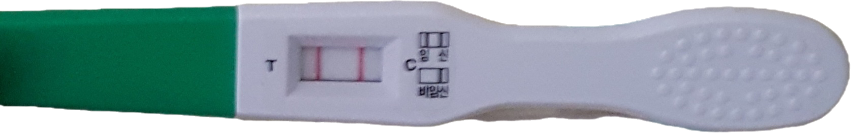 사후피임약-먹고-생리-변화-후기-하지만-이미-임신이-된-상태라면-사후피임약도-효과가-없다는-점-꼭-기억해-주세요.-또한,-임신이-확정될-경우-아침이-아닌-언제-검사를-해도-양성(2줄)으로-확인되는데요.