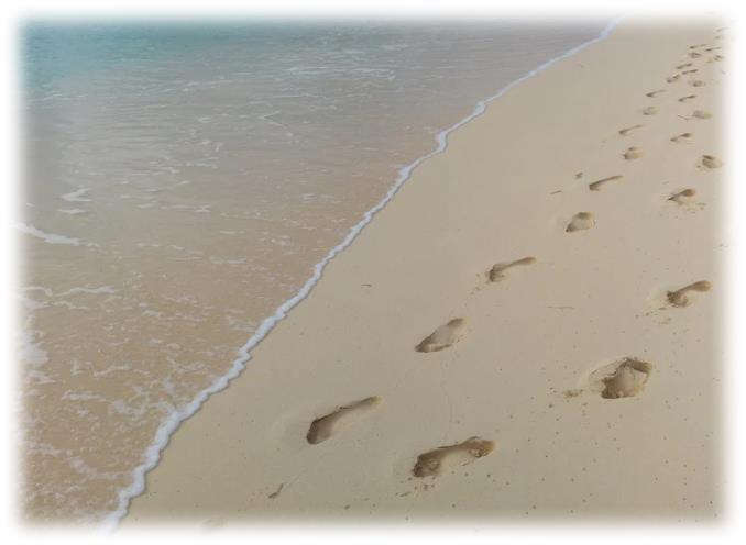 발자국 도장 찍기 재미