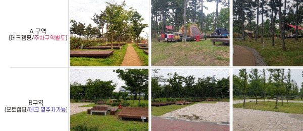 국제캠핑장-구역별사진