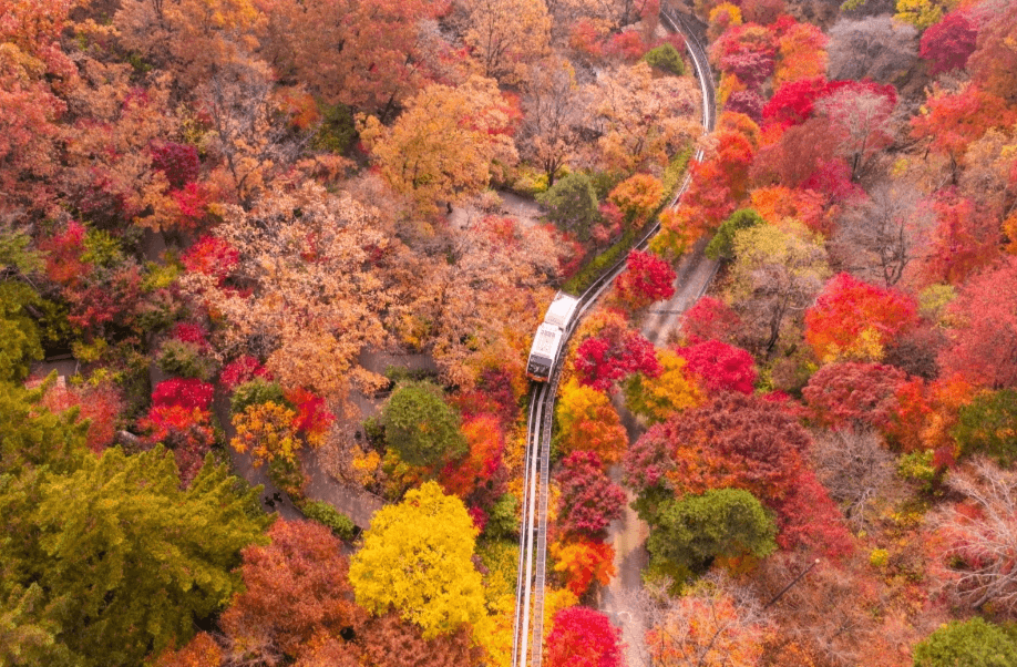2023 화담숲 가을단풍축제