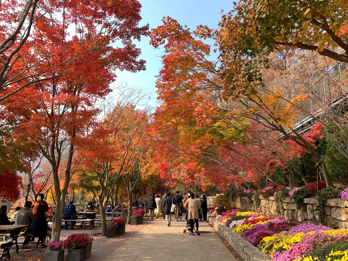 서울근교-경기도-단풍명소-드라이브-갈만한곳-추천(수목원,-화담숲)