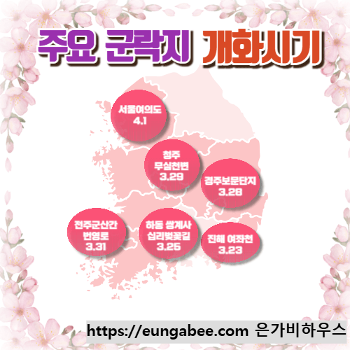 2025년 벚꽃 개화시기