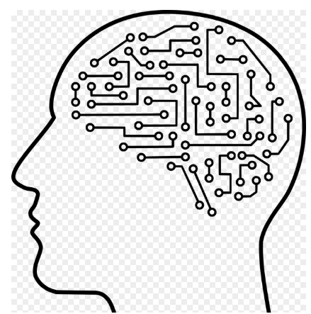 추천 알고리즘이 인간 행동과 선택에 미치는 영향