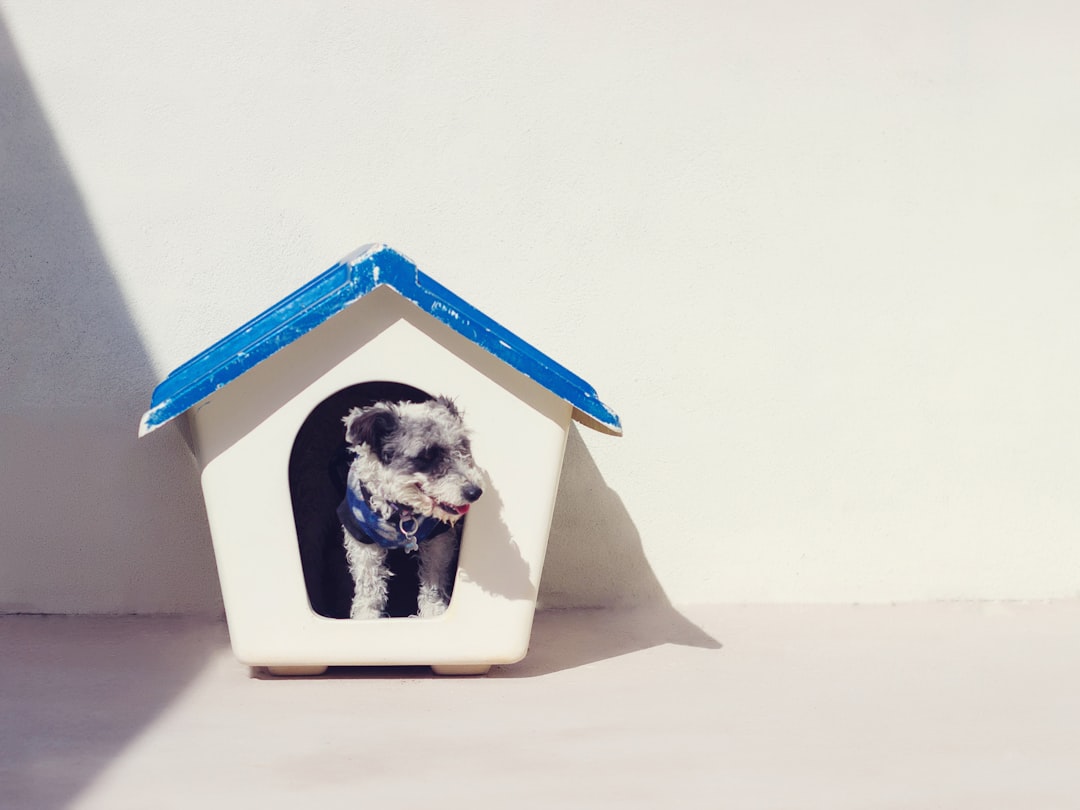 Doghouse