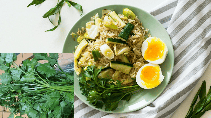 파슬리와 가벼운 요리