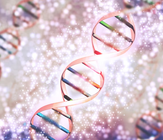 샤르코마리투스병 원인