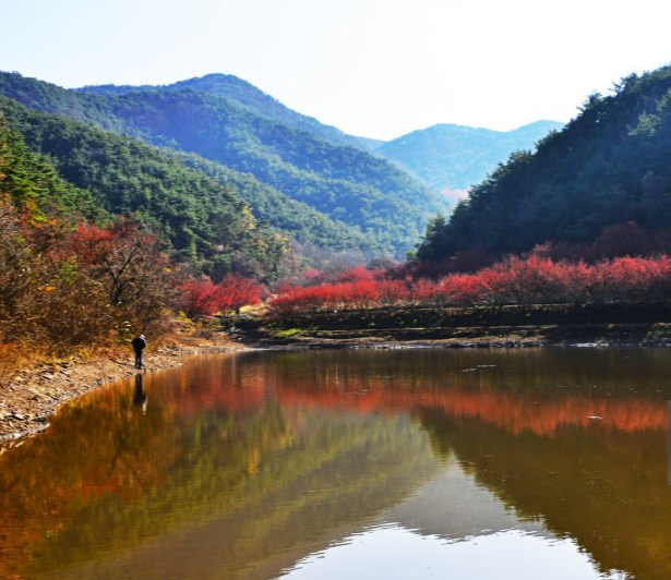 경기도 화담숲의 이모저모