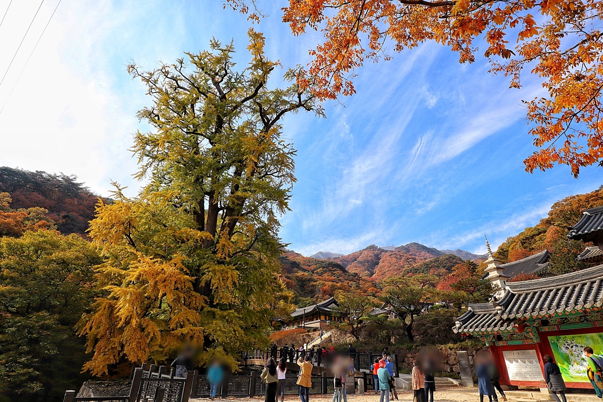 용문산 등산코스 추천