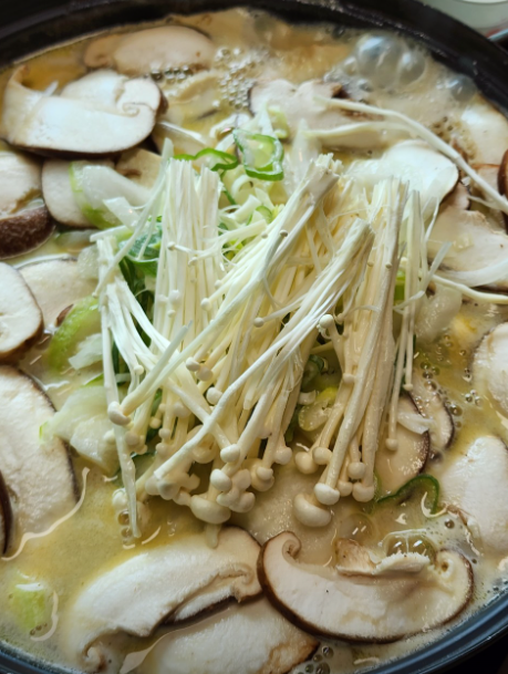 빛두리4
