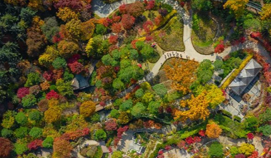 화담숲 추천코스 및 프로그램 예약