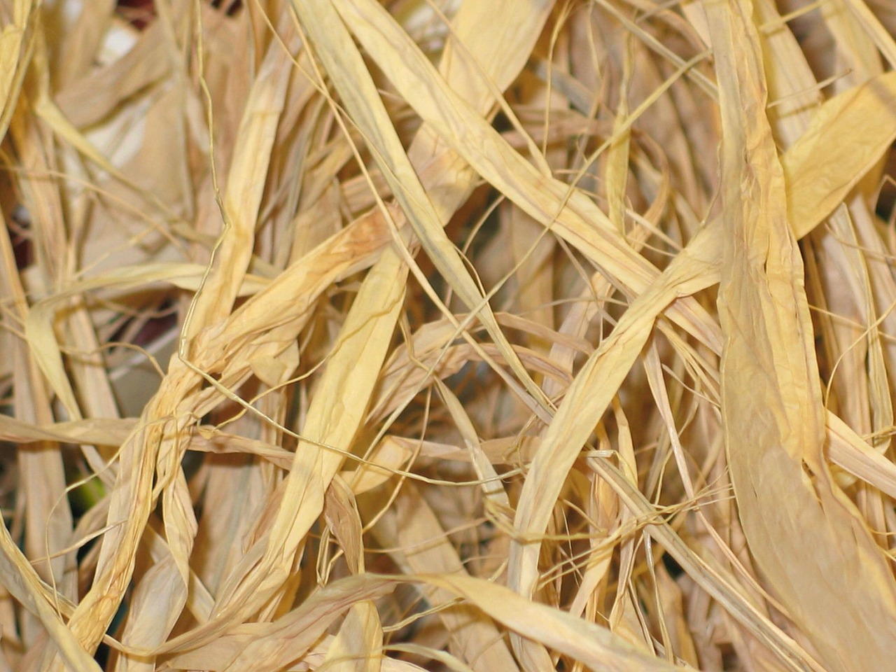 미래 식품 패키징 기술: 생분해성 포장재의 혁신