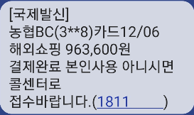 피싱 문자