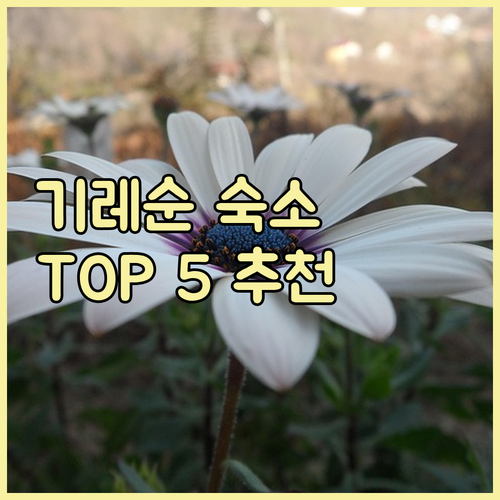 기레순 호텔 추천 편안하고 깨끗한 숙..