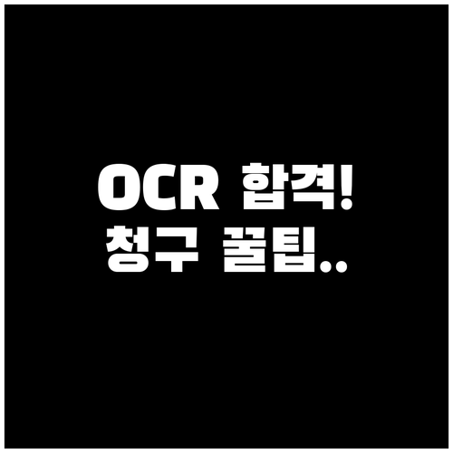 OCR 시스템 통과 보장 실손 청구 ..