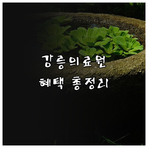 2025년 달라지는 강릉의료원 의료 ..