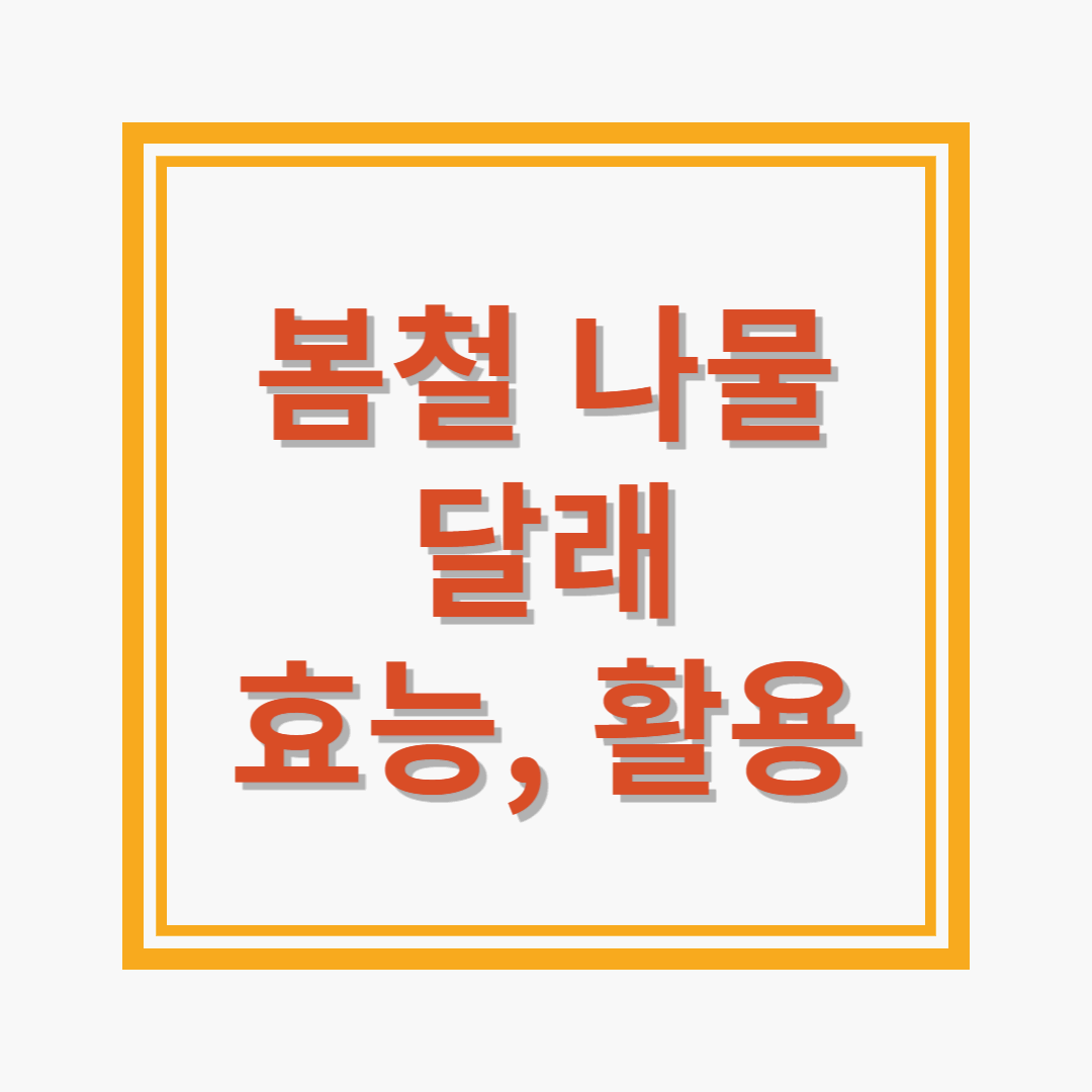 봄철 나물 달래 효능과 활용법