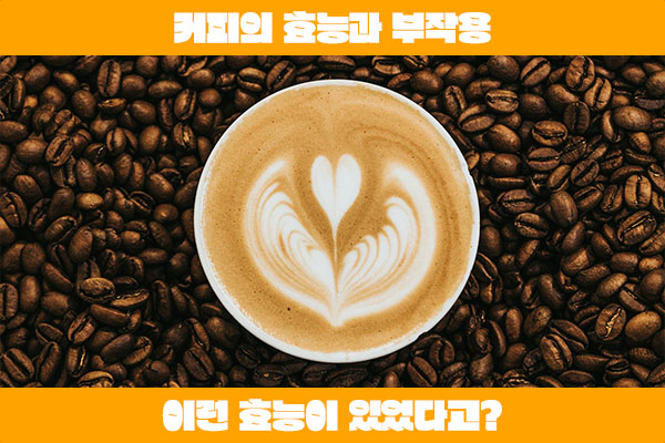 커피의 효능과 부작용