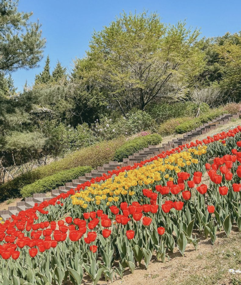 연희숲 속 쉼터 이미지