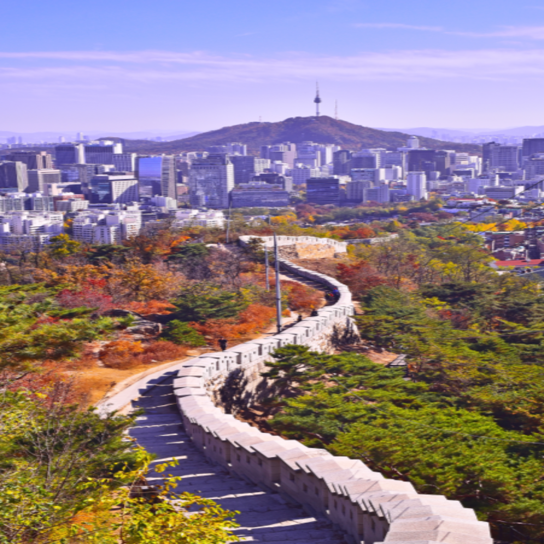 외국인 서울코스 관련 사진