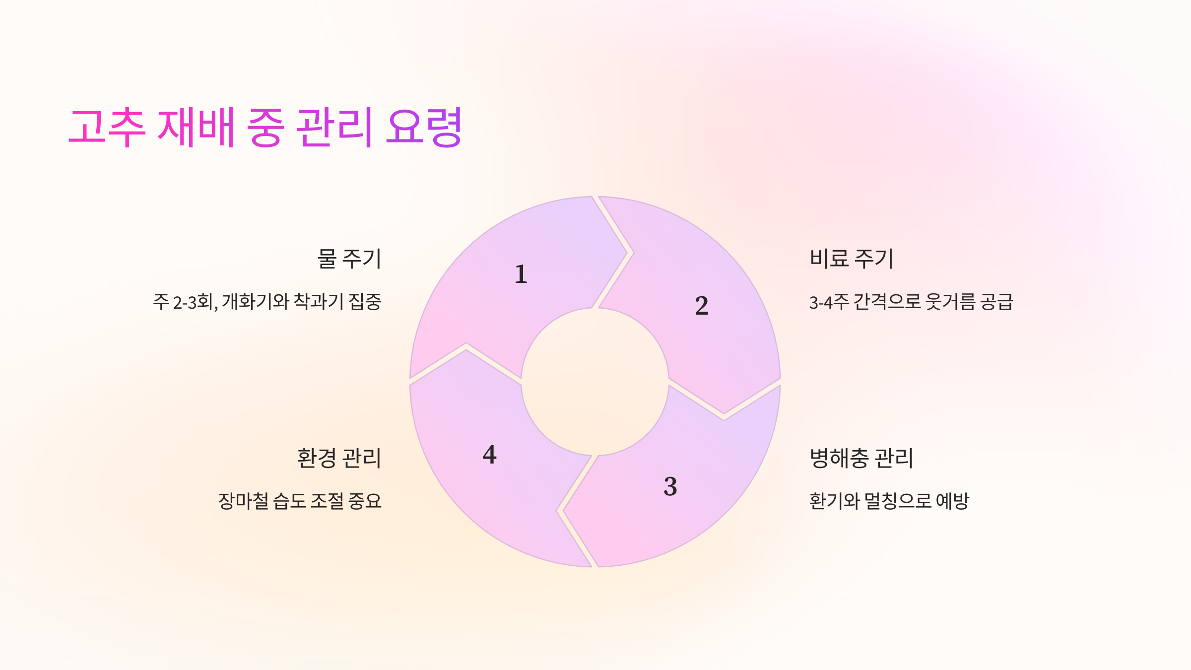 🛠️ 고추 재배 중 관리 요령