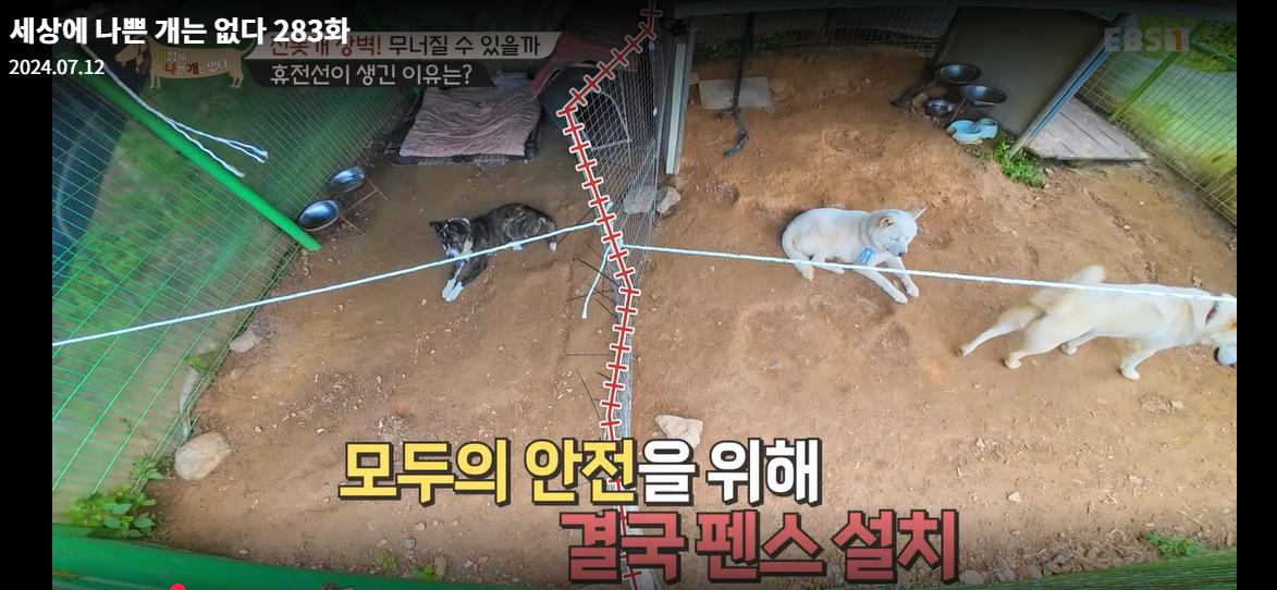 설채현-세상에나쁜개는없다-세나개-283화-진돗개장벽-재방송