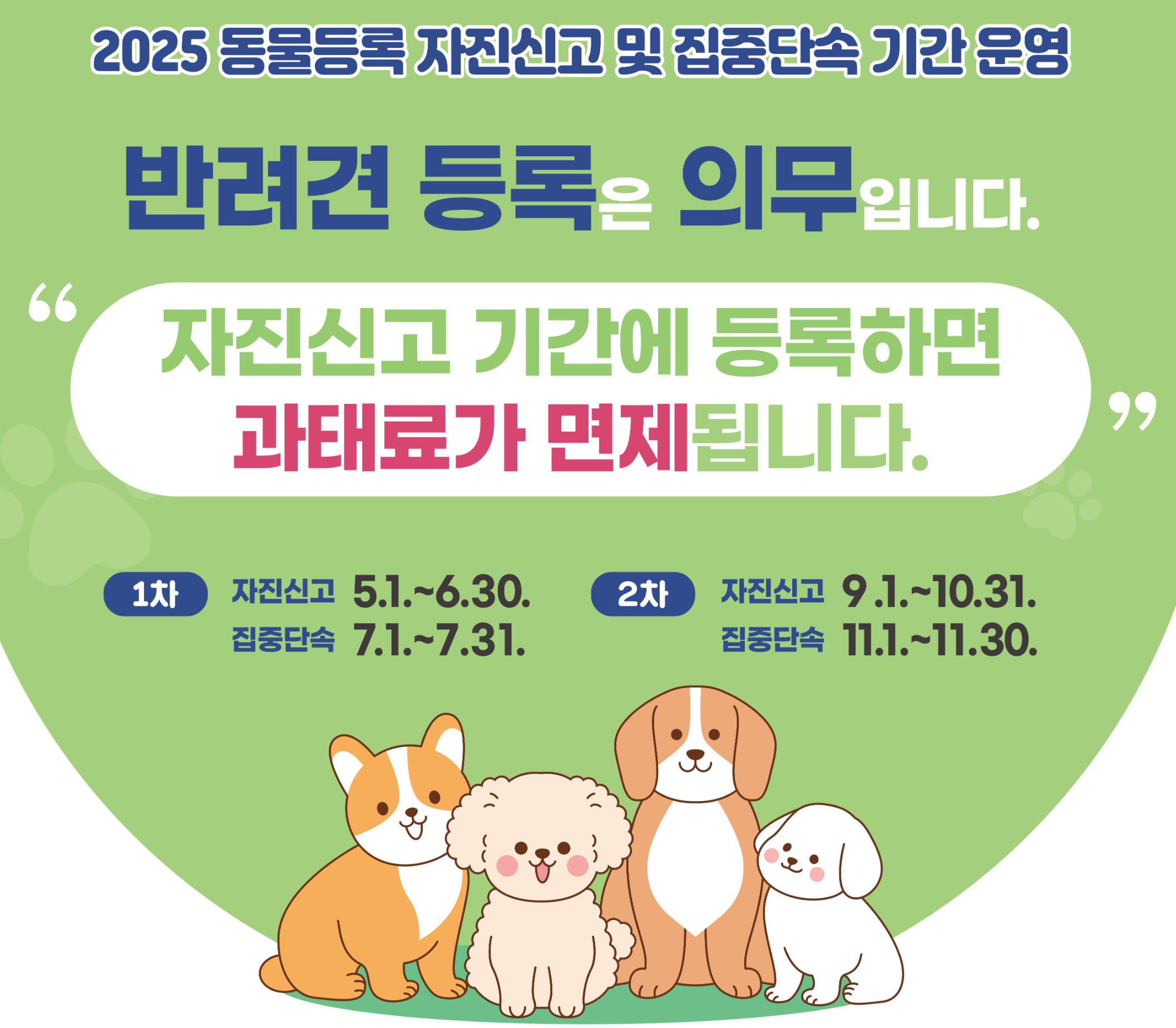 2025년 2차 동물등록 자진신고 2차 기간 과태료 면제·지원금·등록·변경신고방법