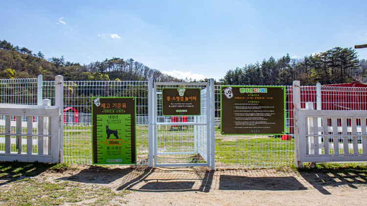 대관령 하늘목장