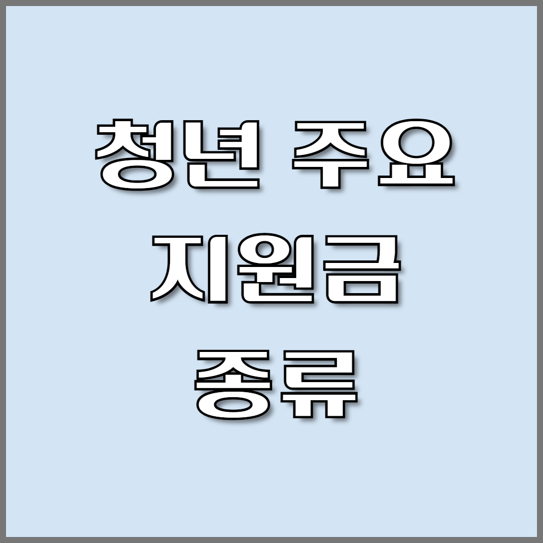 청년 주요 지원금의 종류