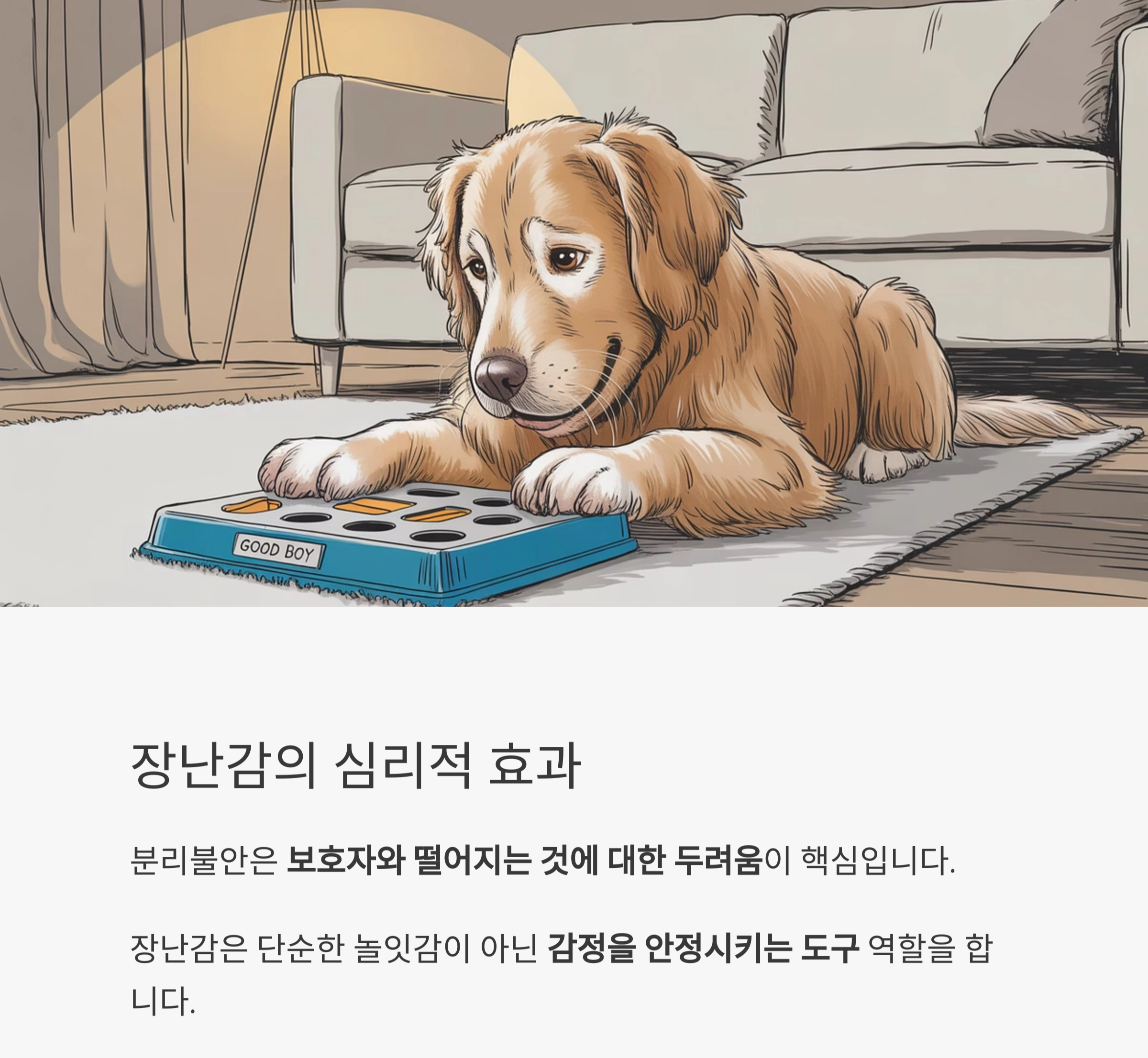 외출 전 장난감 하나로 해결하는 반려견 분리불안