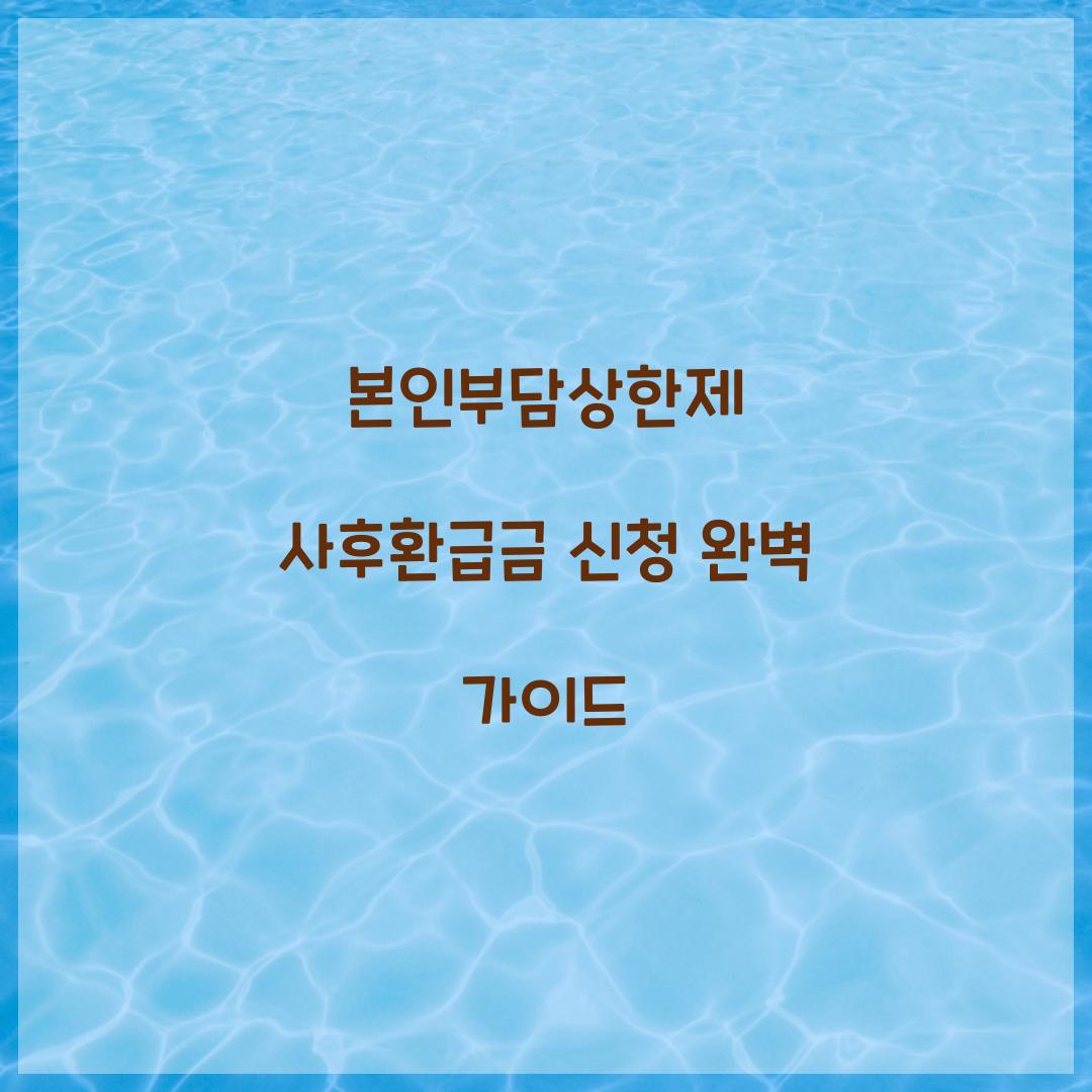 본인부담상한제 사후환급금
