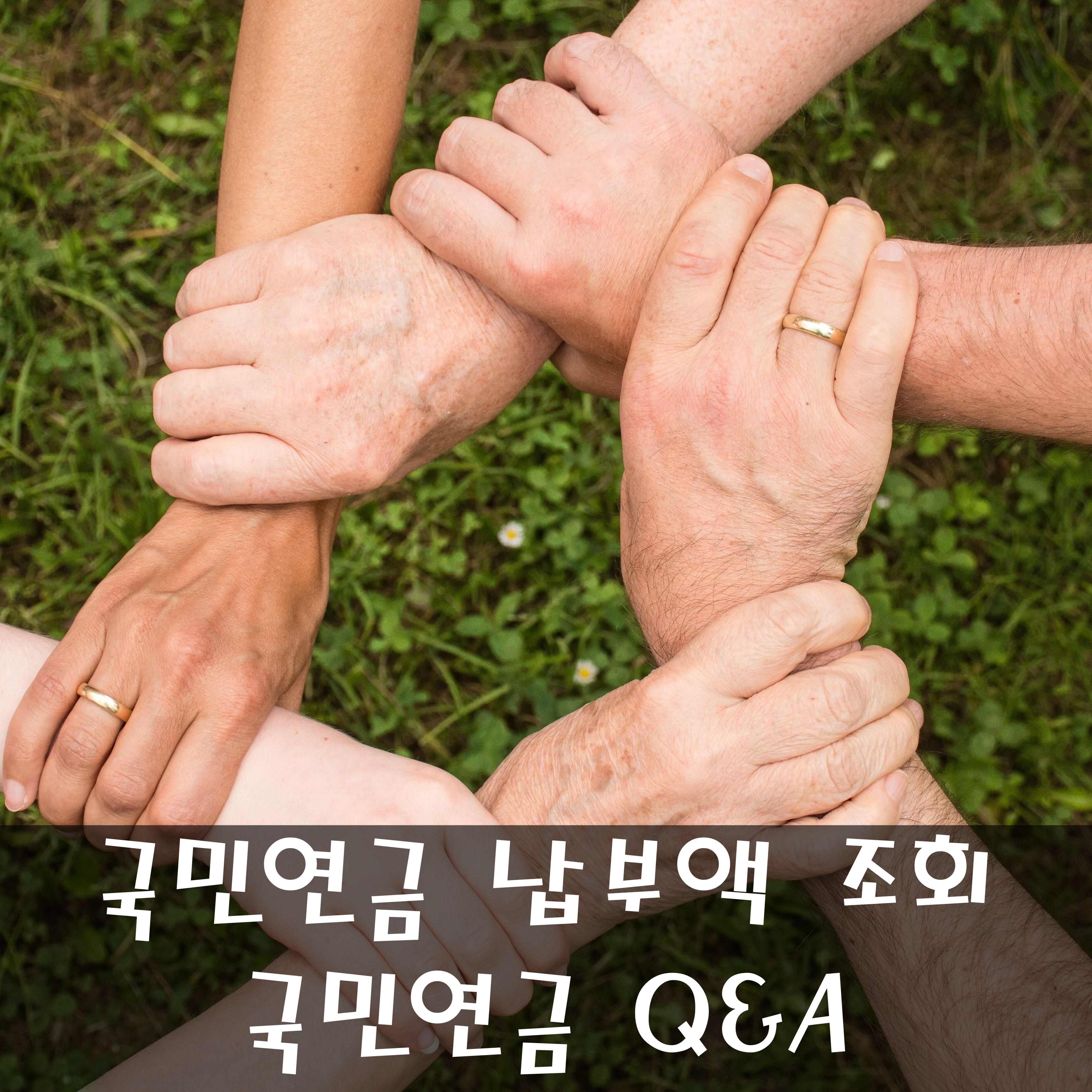 국민연금-납부액조회