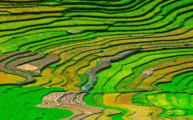 칸트 순수이성비판 7가지 관점 철학적 논점과 현대적 적용_6