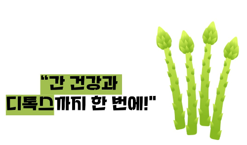 아스파라거스 효능