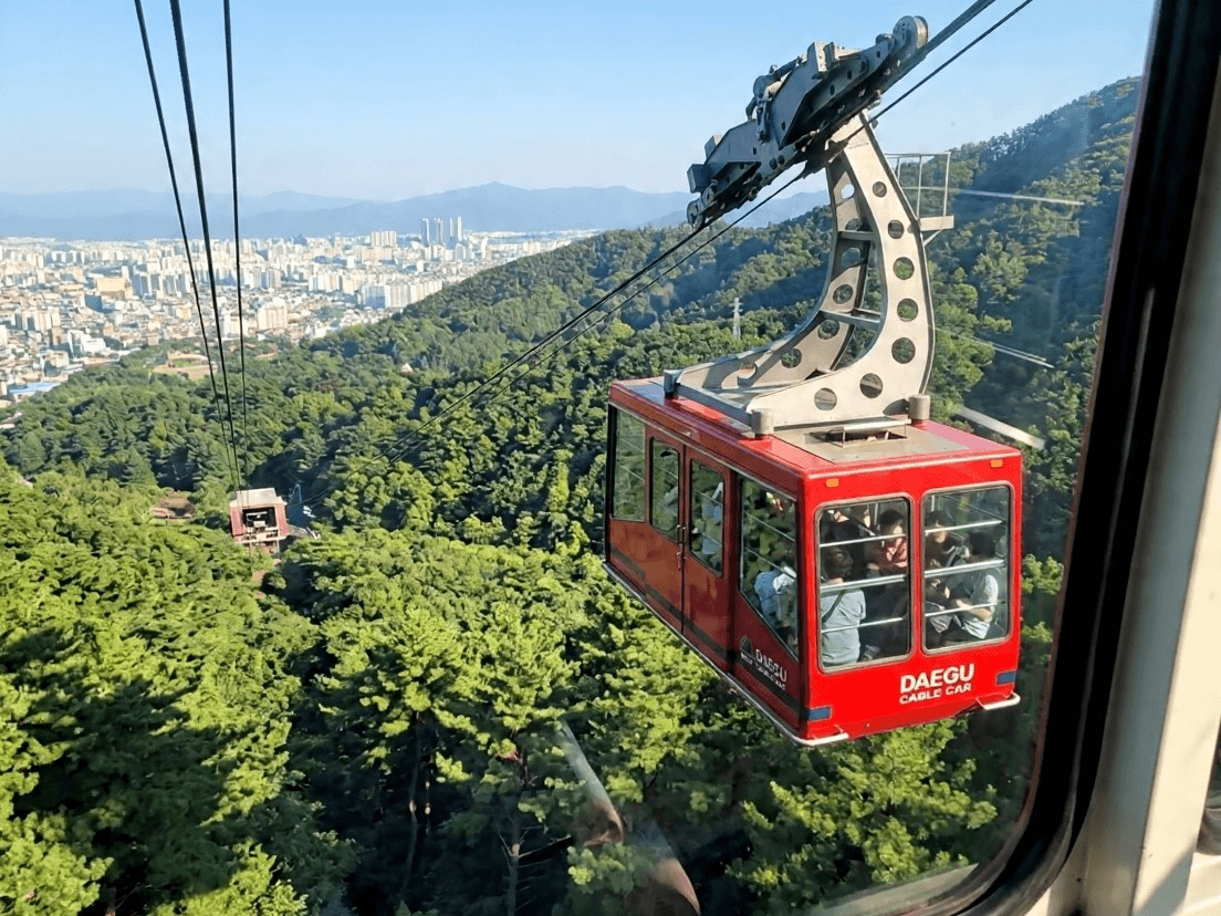대구 앞산 케이블카 붉은색 캐빈이 푸른 숲 위를 지나가고 뒤편으로 대구 도심 아파트 단지가 보이는 풍경