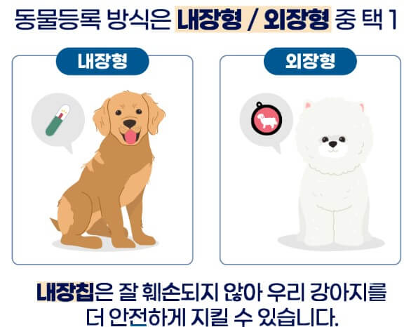 동물등록제 의무시행, 위반시 과태료 부과