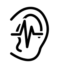 귀에서 소리가 나는 이유