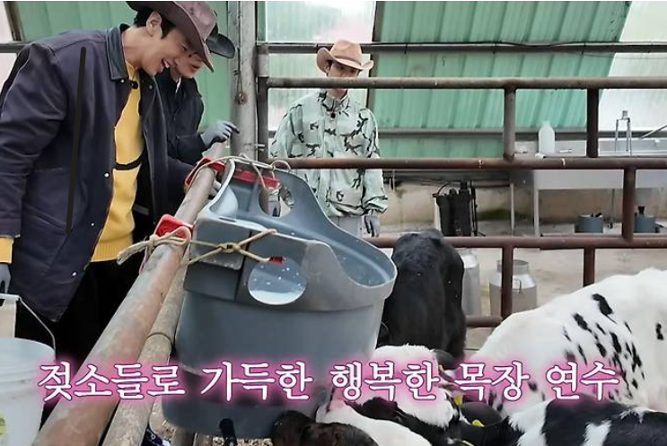 콩콩팜팜 촬영지 제주도 목장 위치 첫 방송 정리