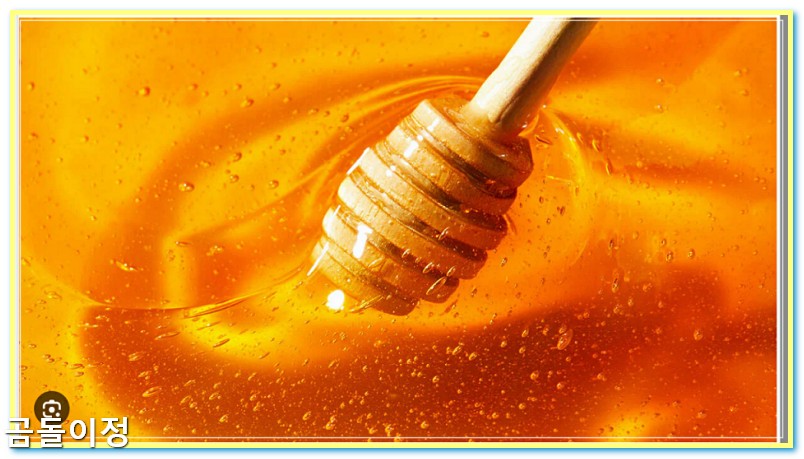 꿀 효능 칼로리 비교, 당뇨 환자가 알아야 할 핵심