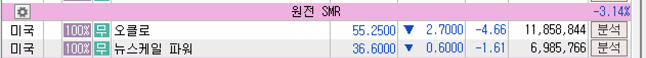 2025년 6월 23일 미국 증시 SMR(원자력) 섹터 주요 상승 종목, 출처 : 키움 영웅문 HTS
