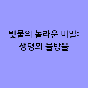 빗물의 놀라운 비밀