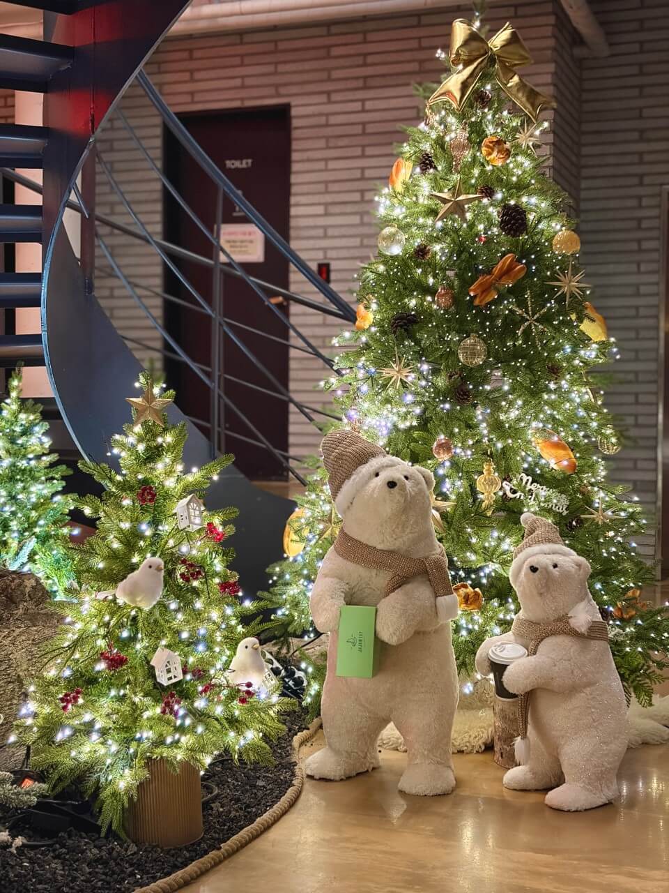 서울&middot;근교 강아지와 함께 갈 수 있는 펫카페 추천 &amp; 방문 꿀팁 총정리