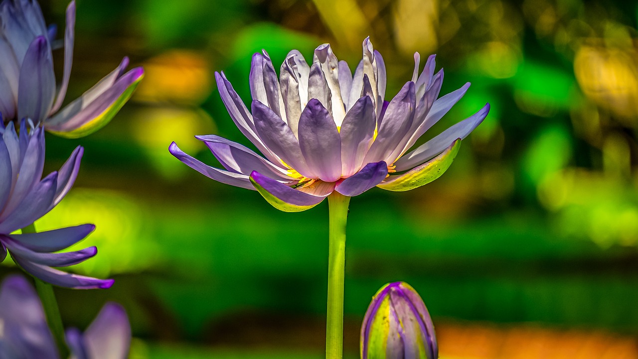 경주 사찰과 전주 사찰, 체험 프로그램 비교 분석