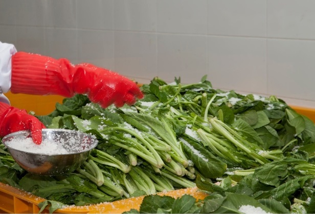 돌산-갓김치-천사갓김치